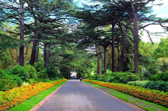 Fitzroy Gardens